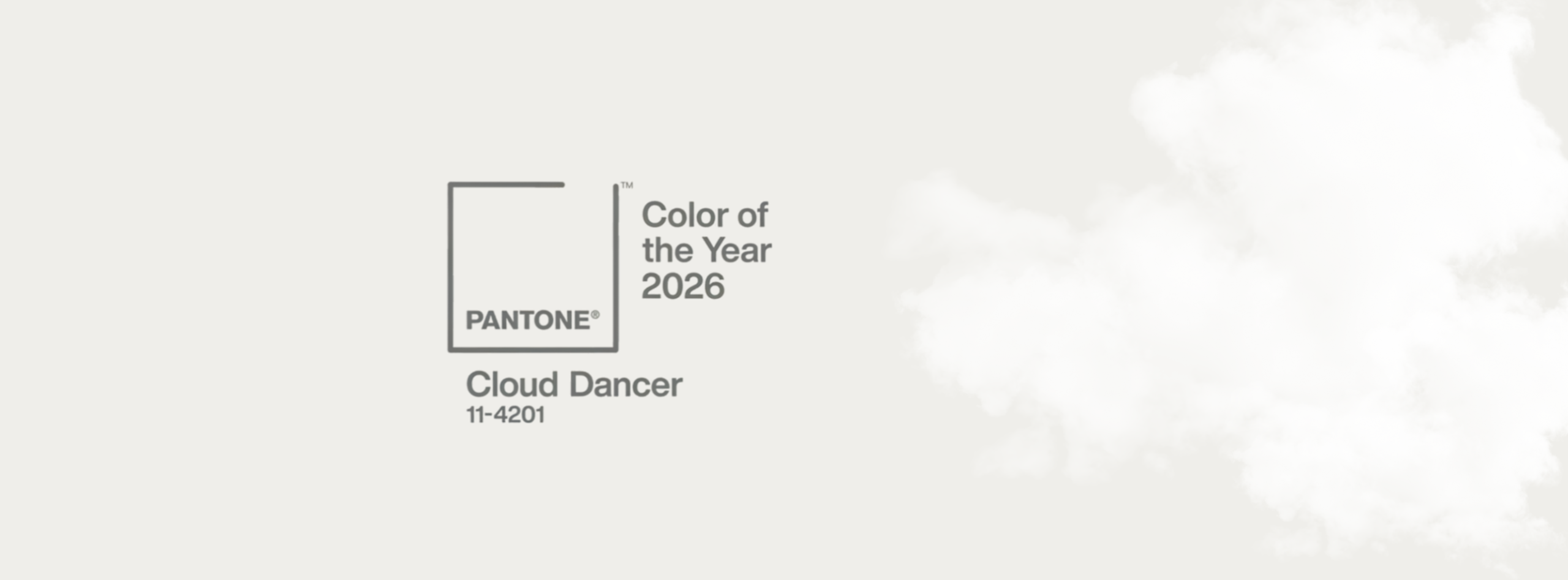 Diseno-sin-titulo-44